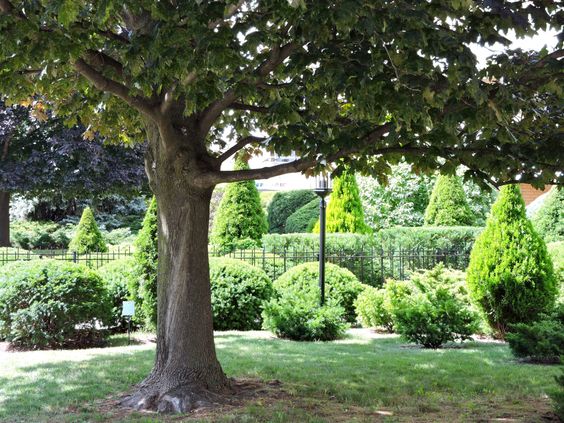 GORGEOUS RARE BACHELOR ON TREED RAVINE!! SQUARE ONE!! 4