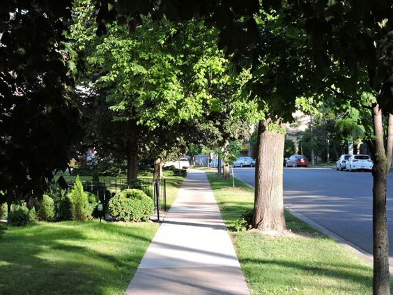 GORGEOUS RARE 1 BDRM ON TREED RAVINE!! SQUARE ONE!! 4